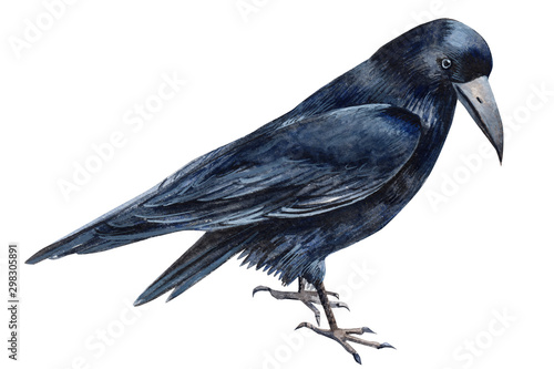 halloween, black raven on an isolated white background, watercolor illustration, clipart