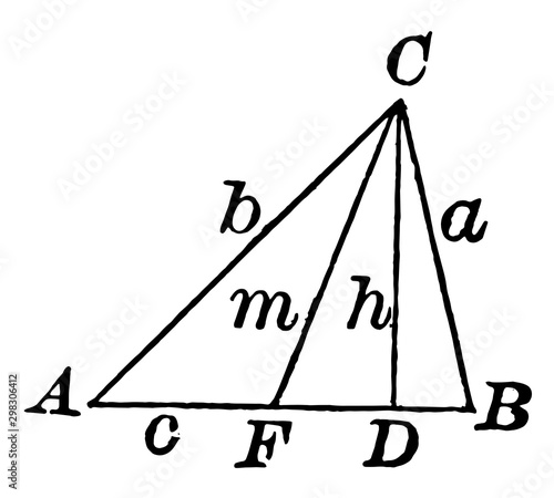 Triangle With Height and Median vintage illustration.