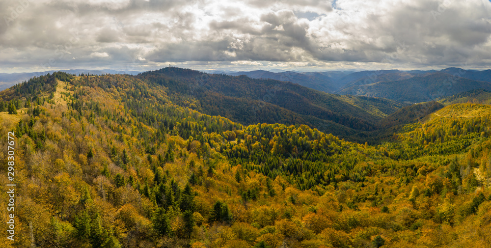 Beautiful Autmn forest shining at sunset. Flying above Colorful mountain flora Beautiful Autmn forest shining at sunset. Flying above Colorful mountain flora