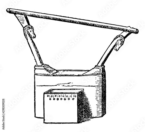 Egyptian Lyre, vintage illustration.
