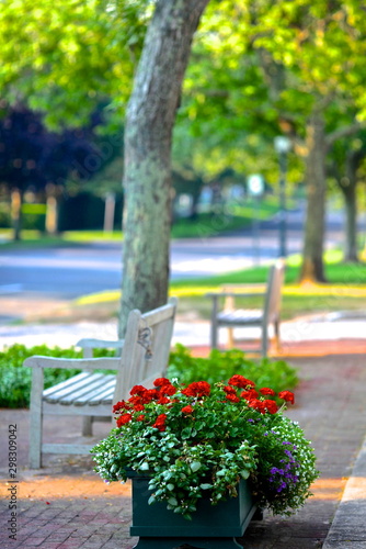Canvas Print Quaint Villge Bench