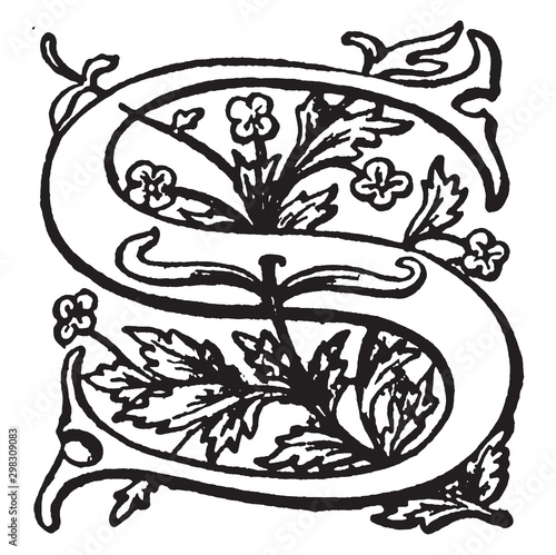 S. Floral initial, vintage illustration