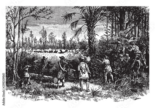 Marion Ambush,vintage illustration