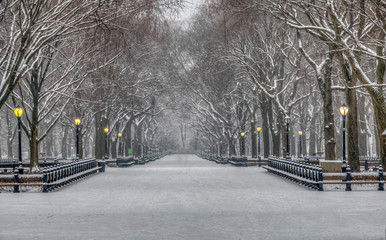 Central Park in winter