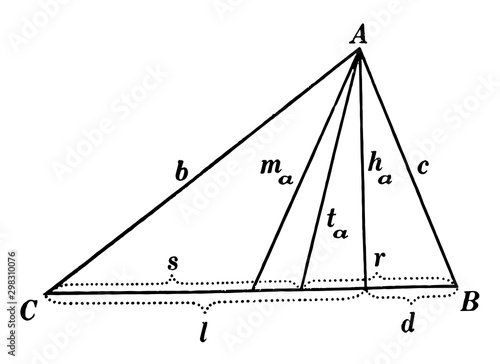 Parts Of A Triangle vintage illustration.