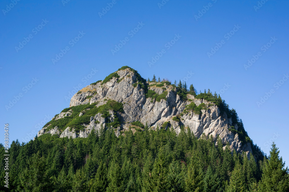Maly Rozsutec, Mala Fatra, Slovakia - top of the rocky mountains. Rocks, trees, forest and clear blue sky
