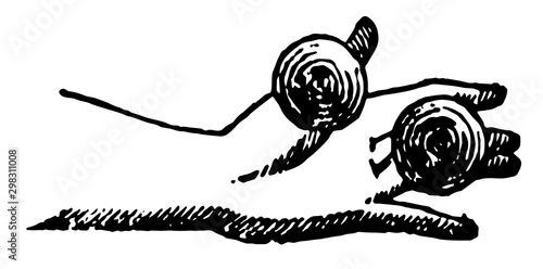 Castanets, vintage illustration.