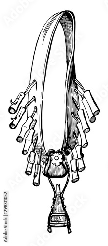 Bandoleer, vintage illustration.