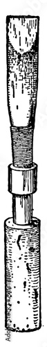 Oboe Double Reed, vintage illustration.