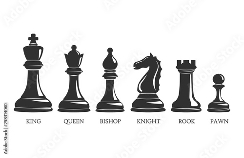 Named chess piece vector. Icons set of chess figures queen and king, illustration rook pawn and knight for chess