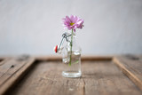 Purple flower in small glass bottle on shabby wooden furniture in front of white wall