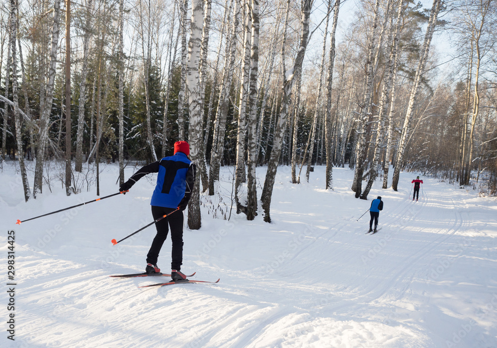 Group cross-country skiing in the park. Sunny day, competitive spirit. Group cross-country skiing in the park. Sunny day, competitive spirit.