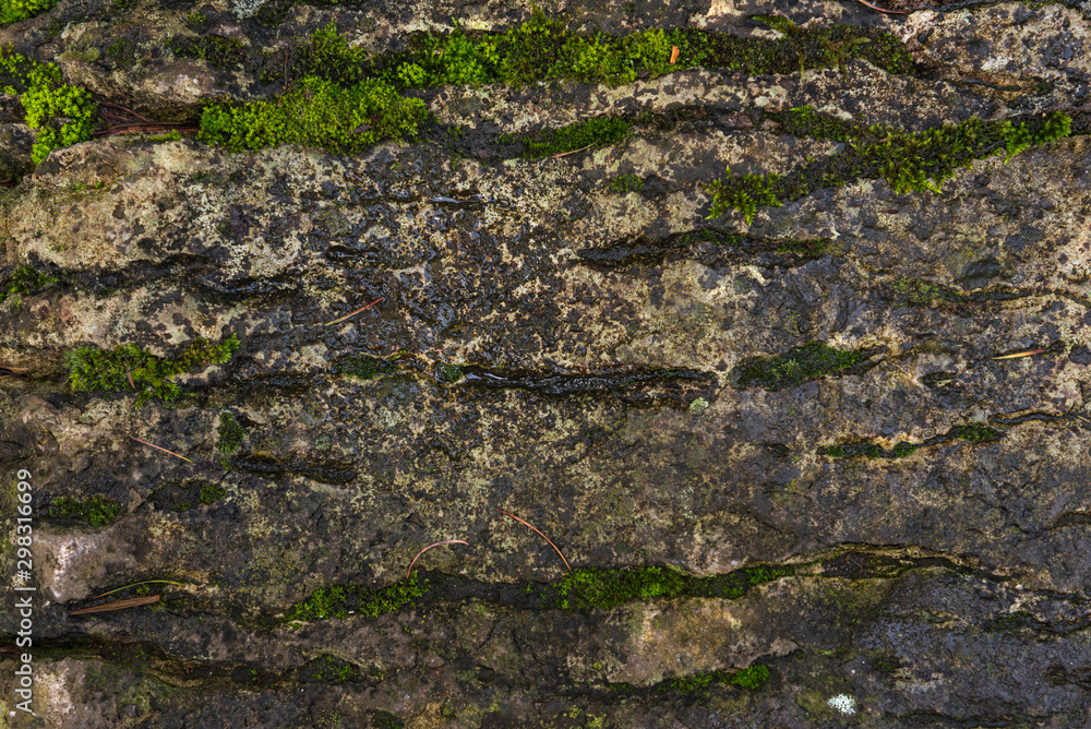 Texture of wild stone. Green moss with dirt on stone Texture of wild stone. Green moss with dirt on stone