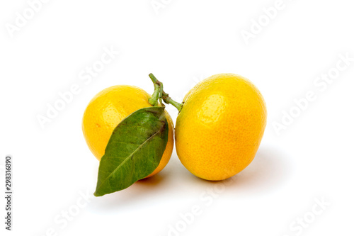 two mandarins or tangerins with leaf isolated on a white background photo