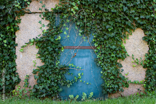 Graveyard Door with Ivy