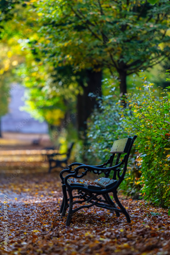 bench in autumn park 