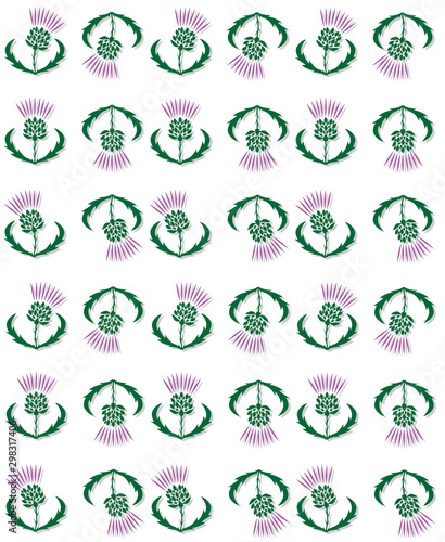 seamless pattern with thistle on a white background