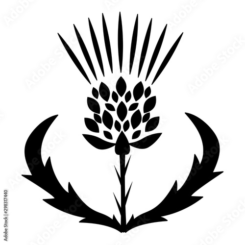black thistle vector isolated icon