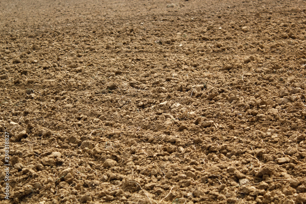 Plowed Field Background Plowed Field Background