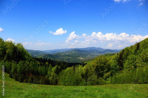 Mountain Landscape in May. Beskid  Poland.