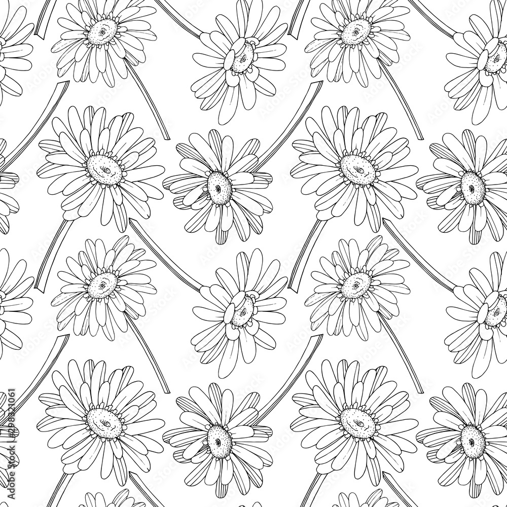 Vector Gerbera floral botanical flower. Black and white engraved ink art. Seamless background pattern.