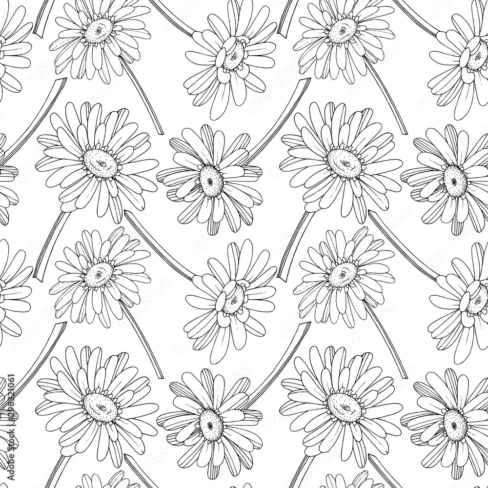 Vector Gerbera floral botanical flower. Black and white engraved ink art. Seamless background pattern. Vector Gerbera floral botanical flower. Black and white engraved ink art. Seamless background pattern.