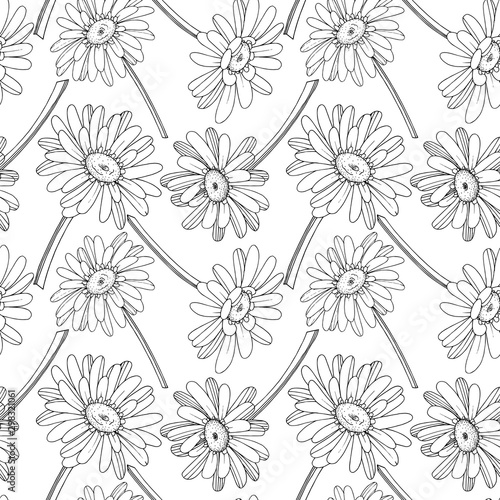 Vector Gerbera floral botanical flower. Black and white engraved ink art. Seamless background pattern.
