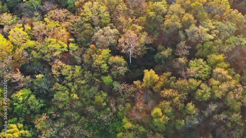 Beautiful dramatic autumn landscape of lake in the multicolored forest Beautiful dramatic autumn landscape of lake in the multicolored forest