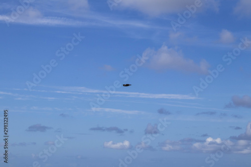 Ave volando en el cielo azulado con nubes.