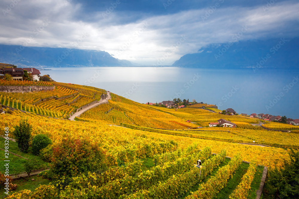 Beautiful autumn landscape of Lake Geneva, Lavaux vineyard terraces and Alps, Switzerland, Europe.