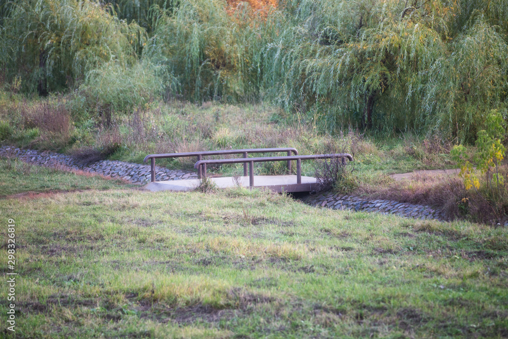 Fototapeta premium A small bridge over a stream and a clearing