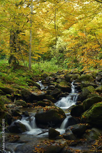 Waterfall in the mountains, autumn landscape in deep forest
