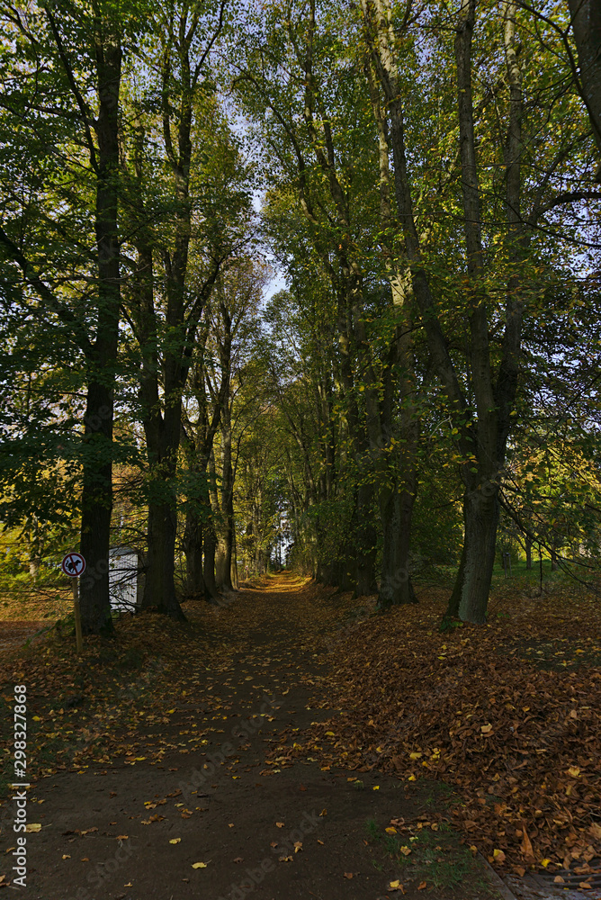 Naklejka premium Weg im Herbst