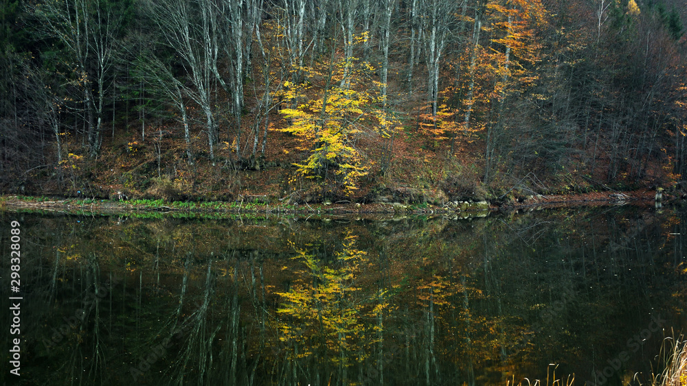 Tree reflection in lake, autumn landscape Tree reflection in lake, autumn landscape