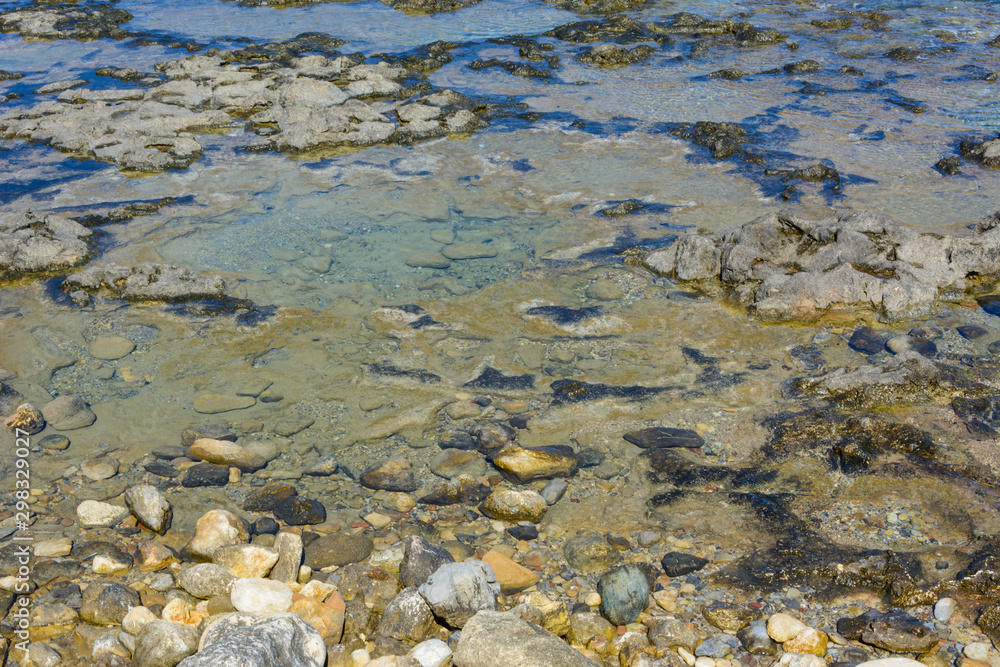 rocky bottom with algae under a thin layer of clear sea water rocky bottom with algae under a thin layer of clear sea water