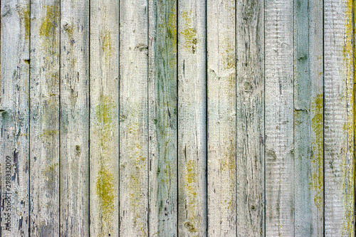 Background from old shabby wooden planks in a light grey colour. Background o...