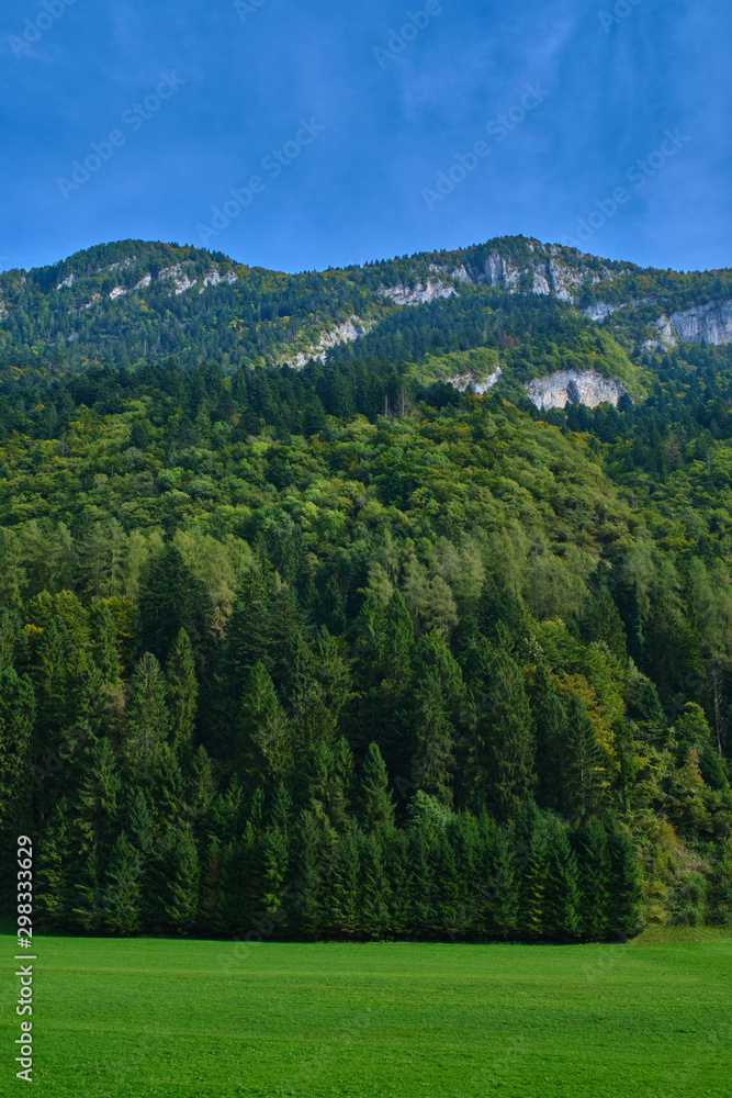 Bright green lawn in the background of the mountain autumn landscape on a clear blue sky. Autumn season in the Alps