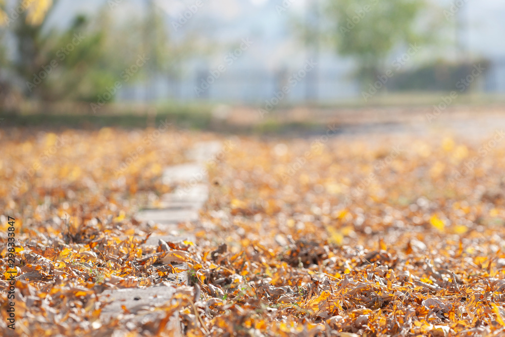 Wooden table with orange leaves autumn background. Wooden table with orange leaves autumn background.