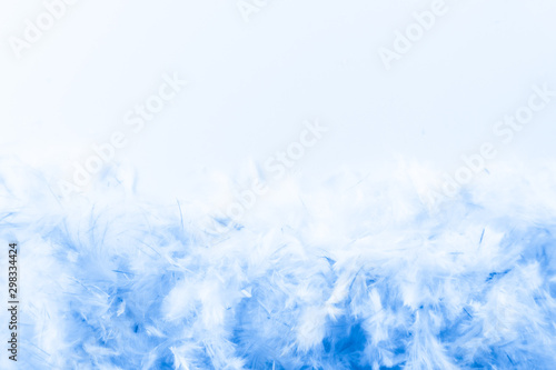 Beautiful abstract purple and blue feathers frame on white background and colorful soft white pink feather portrait frame texture © Weerayuth