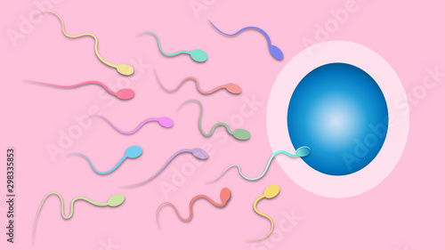 vector of fertilization , colorful sperm