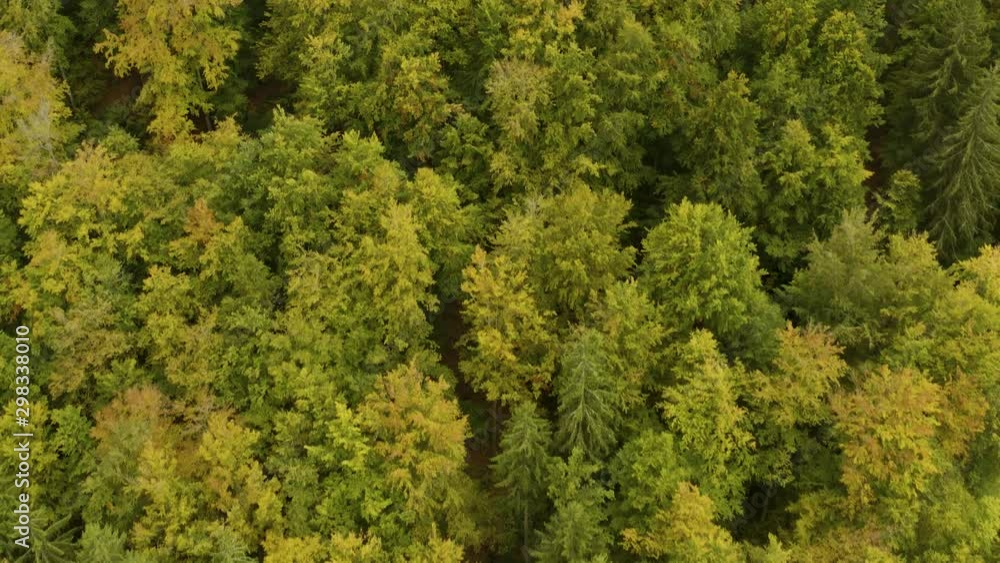 Aerial view of trees, hills and mountains in autumn, fall in the black forest in in Germany on a cloudy day. Flying above tree tops. Aerial view of trees, hills and mountains in autumn, fall in the black forest in in Germany on a cloudy day. Flying above tree tops.