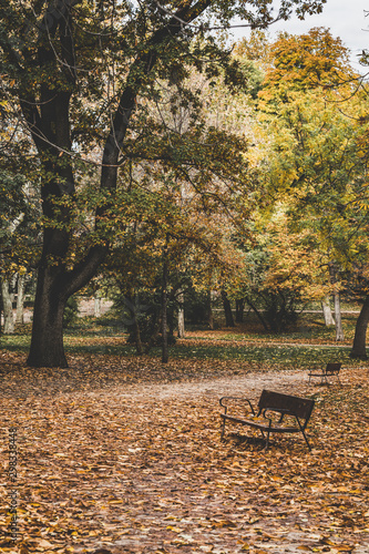 Fototapeta Naklejka Na Ścianę i Meble -  El Retiro park in autumn, Madrid. Spain.