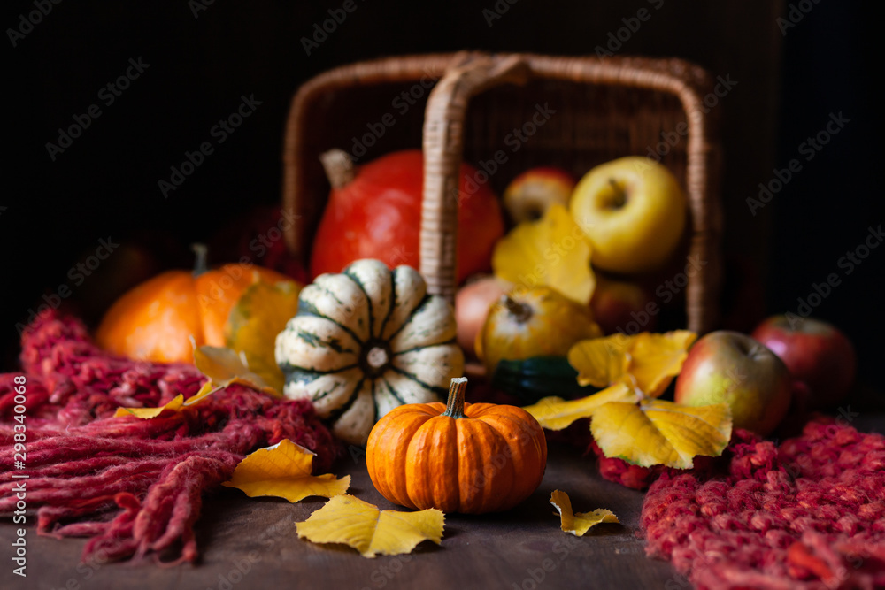 Autumn, harvest time. Composition with ripe organic pumpkins, apples, red scarf and yellow leaves. Basket on background. Low key, dark and moody