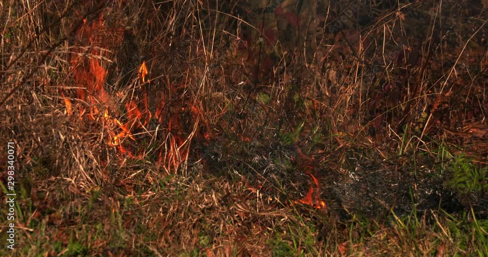Burning grass. Ecological problem. Earth on fire. Burning grass. Ecological problem. Earth on fire.