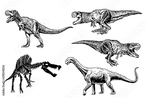 Graphical set of dinosaurs isolated on white background,vector illustration