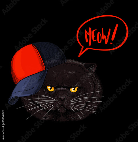 Brown cranky cat face, red and black cap 