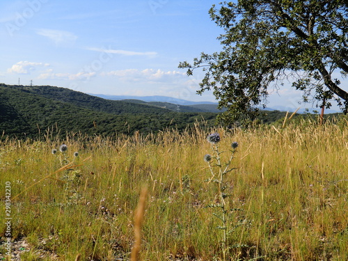Garrigue et collines