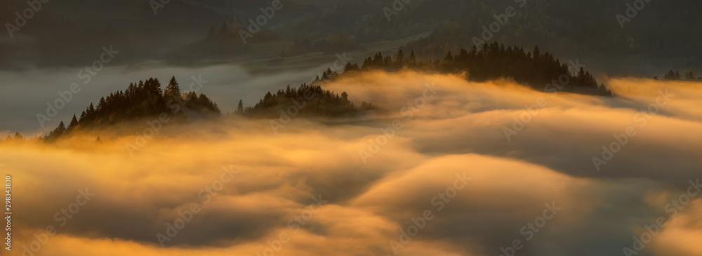 Pieniny Foggy Panorama