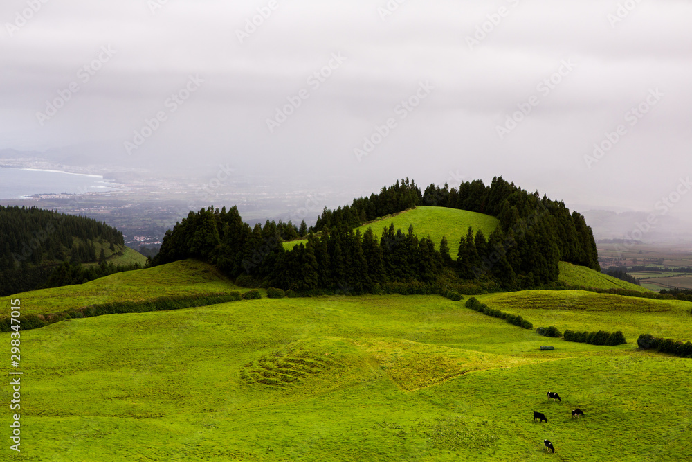 Beautiful landscape sceneries in Azores Portugal. Tropical nature in Sao Miguel Island, Azores. 