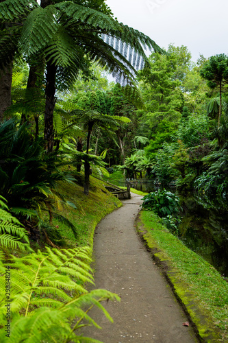 Beautiful landscape sceneries in Azores Portugal. Tropical nature in Sao Miguel Island  Azores. 